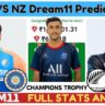 IND VS NZ Dream11 Prediction, Final Match India vs New Zealand Pitch Report, Dream11 Team|